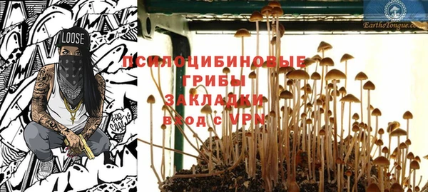 дживик Арсеньев