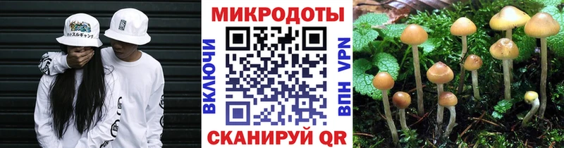 Галлюциногенные грибы Cubensis Учалы